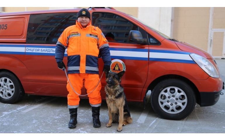 125 хүний амийг аварсан нохой тэтгэвэртээ гарч хөдөө "суурьшив"